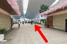 Tips Menghabiskan Waktu di Terminal Internasional Bandara Haneda (Versi Keikyu)