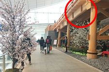 Tips Menghabiskan Waktu di Terminal Internasional Bandara Haneda (versi Keikyu)