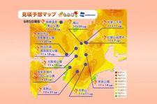 Jadwal Puncak Musim Gugur di Jepang Tahun 2018