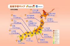 Jadwal Puncak Musim Gugur di Jepang Tahun 2018