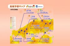 Jadwal Puncak Musim Gugur di Jepang Tahun 2018