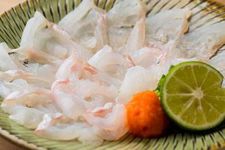 Sashimi (potongan tipis daging ikan mentah) ikan ara (niphon spinosus). Daging ikan yang berwarna benar-benar putih merupakan bukti dari persiapan masak yang sempurna.