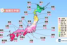 Prediksi sakura mekar di seluruh wilayah di Jepang (Prediksi diumumkan pada tanggal 16 Januari 2019/ Weather News).