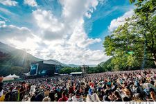 FUJI ROCK FESTIVAL.