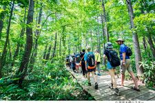 Nikmati kegiatan mendaki gunung dengan rute pendek di sekitar tempat penyelenggaraan. 