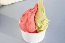 gelato rasa raspberry dan pistachio