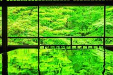 Panorama musim semi di Ruri no Niwa (taman bergaya Jepang) merepresentasikan Tanah Kebahagiaan dalam agama Buddha, pemandangan ini dapat dinikmati dari lantai kedua dari ruangan Shoin (ruang gambar). 