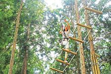 Permainan mendebarkan serasa menjadi tarzan di &ldquo;Forest Adventure&rdquo;