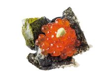 Hidangan paling laku, Salmon Roe Canape (206 yen)