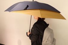 Back Protect Umbrella 
