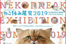 Event Neko Break Exhibition Summer 2019 yang semakin besar.