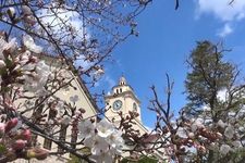 Kwansei Gakuin University