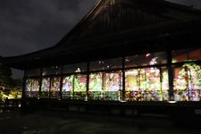 The 25th Anniversary of World Heritage Registration FLOWERS BY NAKED 2019 &ndash; Nijo Castle, Kyoto &ndash;