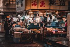 Tsukiji Fish Market