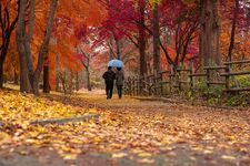 Hari Pasangan yang Baik di Jepang atau Ii Fuufu No Hi