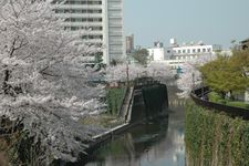 Shakujiigawa-zoi (Kita-ku) - sepanjang Sungai Shakujii