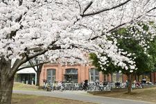 Kitakuritsu Chuo Tosho-kan (Perpustakaan Kitaku Tachi Chuo).