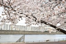 Sumidagawa-zoi (Kita-ku)- Sepanjang Sungai Sumida (Distrik Kita)