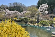 Sendai Akiu Onsen Tenshukaku Shizen Koen