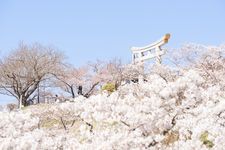  Hiyoriyama Koen