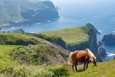 Scenery of Oki Islands/Shimane,Japan