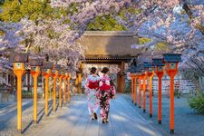 Young Japanese women in traditional Yukata dress stroll by Hirano-jinja Shrine in Kyoto, Japan during full bloom cherry blossom season.