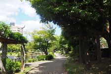 Taman tepi sungai Yokojukken-gawa, Tokyo, Jepang.