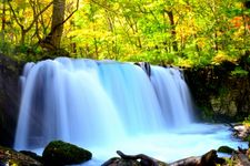 Ngarai Oirase di Prefektur Aomori, Jepang. (KARAKSA MEDIA PARTNER)