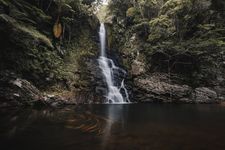 Ilustrasi air terjun di tengah hutan. 