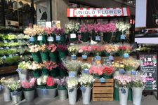 Bunga-bunga berwarna-warni yang berganti-ganti sesuai musim siap menyambutmu di depan toko UNIQLO FLOWER di Tokyo, Jepang.