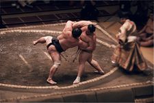 Rikishi atau pesumo bergulat di dalam arena melingkar. (PIXABAY/RAIN)
