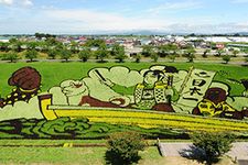 Tanbo art atau seni melukis sawah di Jepang konon berasal dari Desa Inakadate di Prefektur Aomori, Jepang. (KARAKSA MEDIA PARTNER)