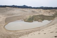 Oasis di bukit pasir Tottori, Prefektur Tottori, Jepang. (&copy;JNTO)