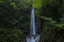 Air terjun Daisendaki di Gunung Daisen, Prefektur Tottori, Jepang. (&copy;JNTO)