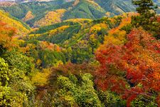 Pemandangan Gunung Takao di Tokyo penuh dengan dedaunan musim gugur. (KARAKSA MEDIA PARTNER)