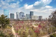 Umebayashi Area Osaka Castle Park, Osaka, Jepang. (KARAKSA MEDIA PARTNER)