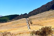 Sengokuhara Susuki Sogen, tempat wisata musim gugur di Kota Hakone, Prefektur Kanagawa, Jepang. (MEQQE BOOK/IKA-CHAN)