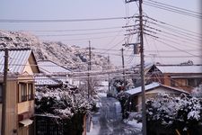 Suasana tempat tinggal Aya di Prefektur Ibaraki, Jepang. (DOK. PRIBADI AYA)