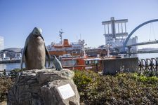 Miniatur Penguin di Pelabuhan Nagoya, Jepang.