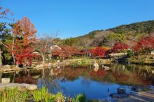 Taman Maruyama di Kyoto, Jepang.