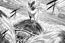 Manga Rooster Fighter menceritakan ayam jantan bernama Keiji yang punya kemampuan luar biasa untuk melawan monster.