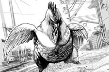 Manga Rooster Fighter menceritakan ayam jantan bernama Keiji yang punya kemampuan luar biasa untuk melawan monster.