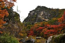 Ngarai Shosenkyo di Prefektur Yamanashi, Jepang.