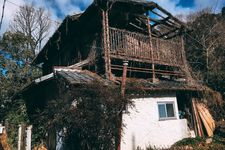 Akiya atau rumah kosong di Jepang, ini contoh hochi akiya alias rumah terbengkalai.