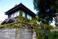 Hochi akiya atau rumah terbengkalai yang biasanya berlokasi di pedesaan Jepang.