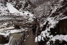 Jigokudani Monkey Park di Prefektur Nagano, Jepang, saat musim dingin diselimuti salju.