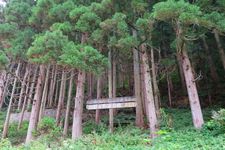 Gunung tempat monyet bersarang di Jigokudani Monkey Park, Prefektur Nagano, Jepang. 