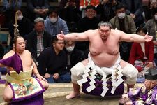 Grand master sumo kelahiran Mongolia Terunofuji memasuki ring pada Turnamen Sumo Besar Tahun Baru di Tokyo. Terunofuji memutuskan untuk pensiun, sesuai pernyataan Asosiasi Sumo Jepang pada 16 Januari 2025.(Foto ini diambil pada 12/1/2025)