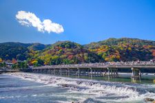 Hutan Bambu Arashiyama di Kyoto, Jepang.