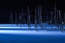Destinasi musim dingin terbaik di Jepang: kolam biru Shirogane, Hokkaido.